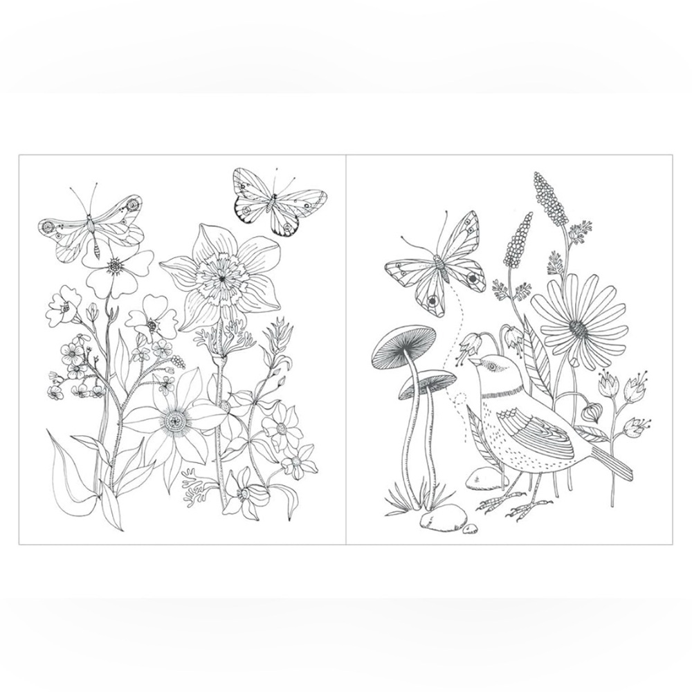 Avian Friends Coloring Book with Floral Design - Picture 6 of 8